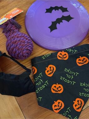 Dogs Halloween Pumpkin Bandana Costume Accessory - Black & Orange